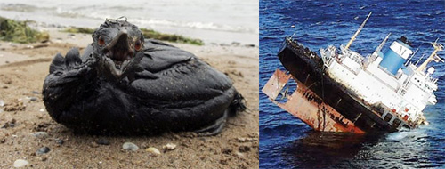 oil-spills.jpg