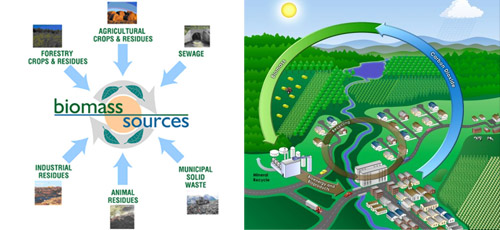 Biomass Energy