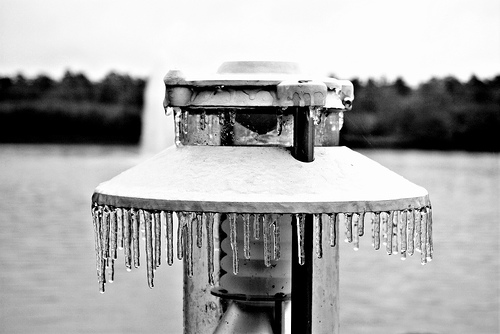 Ice in Texas during the January storm that created an icy mess up and down the east coast. Photo by jonmatthew photography