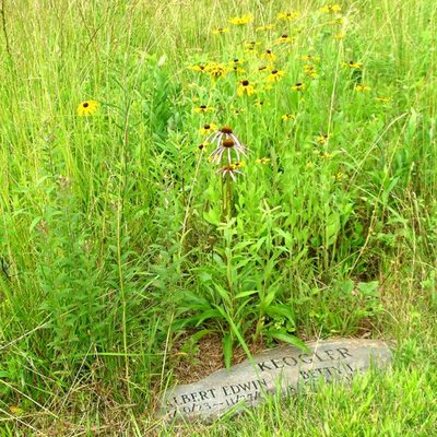 Photo by Ramsey Creek Preserve