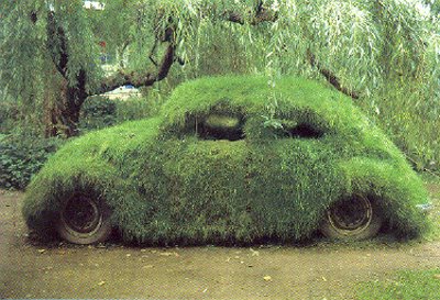 Grass Covered Car