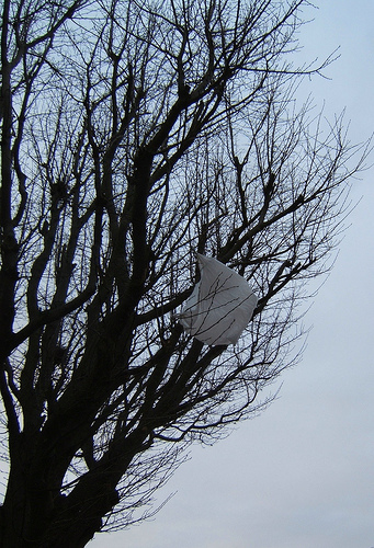 It costs more to recycle a plastic bag than it does to make a new one.  Photo by TimParkinson