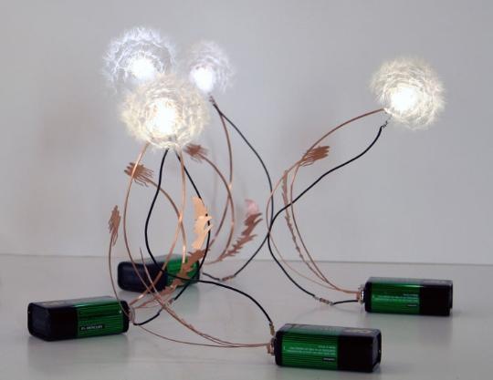 Dandelight LED Light by Drift Designers_540